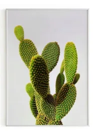 plakat-bez-ramy-a5-13x18-m2p-kaktus-03