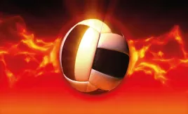 fototapeta-dmp-siatkowka-08-312x219