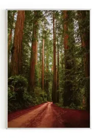 plakat-a5-13x18-w-ramie-m2p-las-27