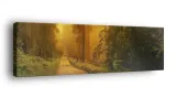 obraz-na-plotnie-145x45-m2p-las-01-canvas-wzory