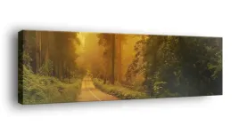 obraz-na-plotnie-145x45-m2p-las-01-canvas-wzory