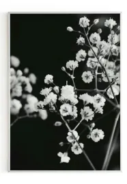 plakat-a3-30x40-w-ramie-m2p-czarno-biale-09