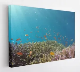 obraz-na-plotnie-100x75-m2p-ocean-05-canvas-wzory