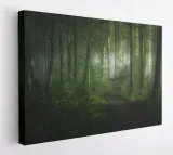 obraz-na-plotnie-80x60-m2p-las-06-canvas-wzory