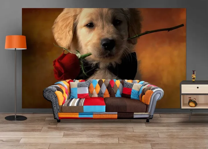 fototapeta-m2p-psy-05-416x254-gama-kolorystyczna-wielokolorowe