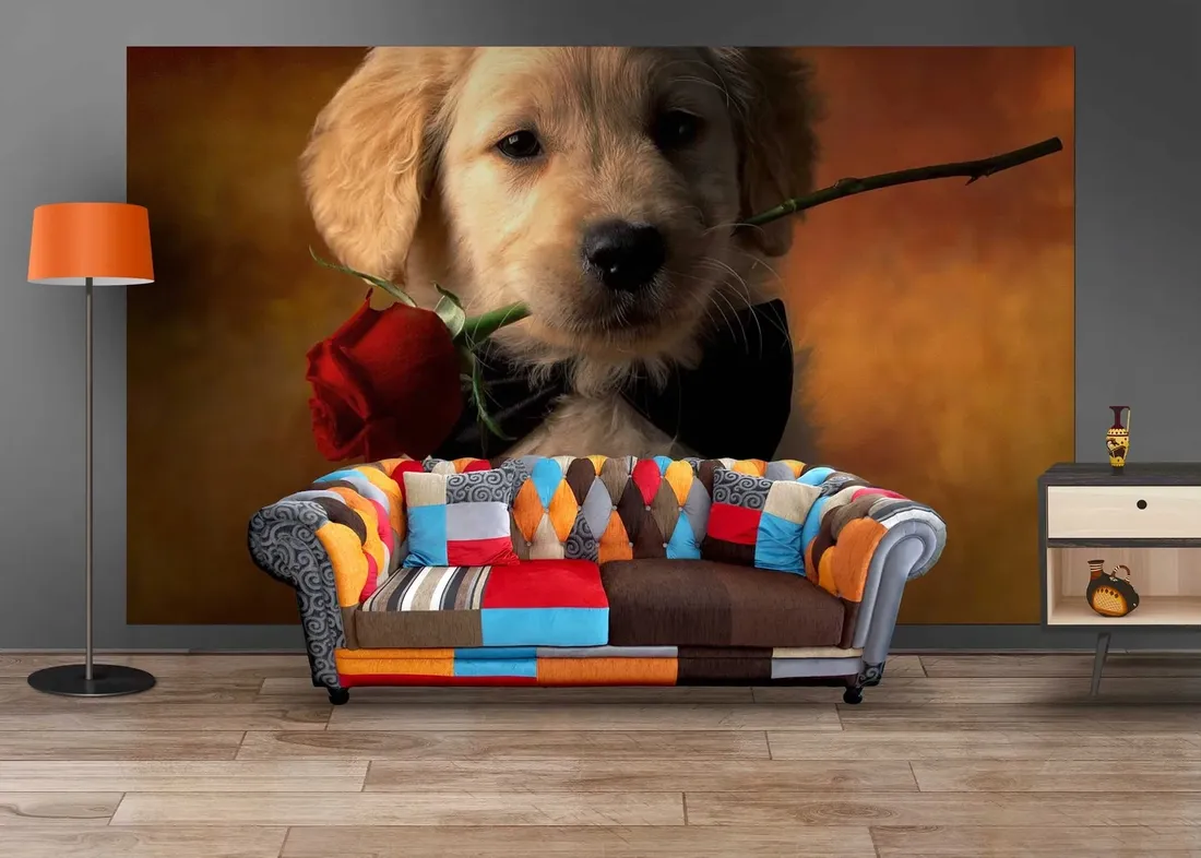 fototapeta-m2p-psy-05-416x254