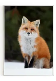 plakat-a5-13x18-w-ramie-m2p-lis-04