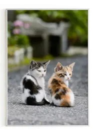 plakat-a3-30x40-w-ramie-m2p-kot-08