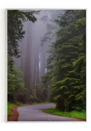 plakat-a4-21x30-w-ramie-m2p-las-23