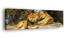 obraz-na-plotnie-145x45-m2p-sawanna-07-canvas