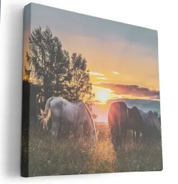 obraz-na-plotnie-80x80-m2p-konie-02-canvas-wzory