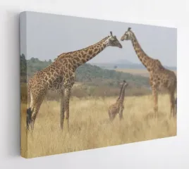 obraz-na-plotnie-100x75-m2p-sawanna-14-canvas
