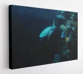 obraz-na-plotnie-100x75-m2p-ocean-04-canvas-wzory