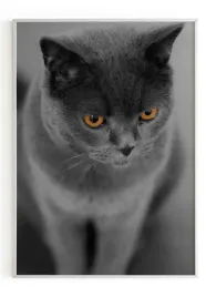 plakat-a5-13x18-w-ramie-m2p-kot-07