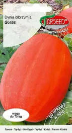 nasiona-dynia-olbrzymia-golias-3g-torseed
