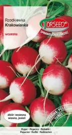 nasiona-rzodkiewka-krakowianka-10g-torseed