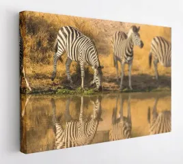 obraz-na-plotnie-100x75-m2p-sawanna-03-canvas