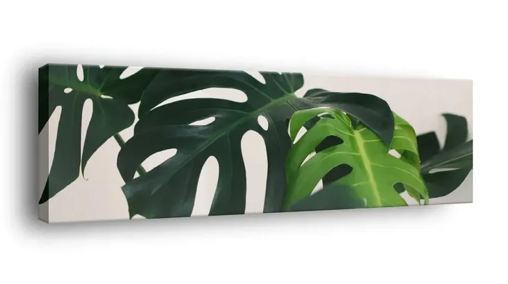 obraz-na-plotnie-145x45-m2p-rosliny-08-canvas