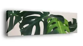 obraz-na-plotnie-145x45-m2p-rosliny-08-canvas