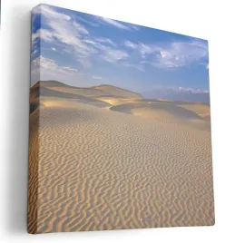 obraz-na-plotnie-40x40-m2p-pustynia-03-canvas