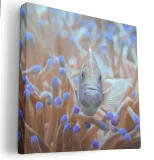 obraz-na-plotnie-40x40-m2p-ocean-10-canvas-wzory