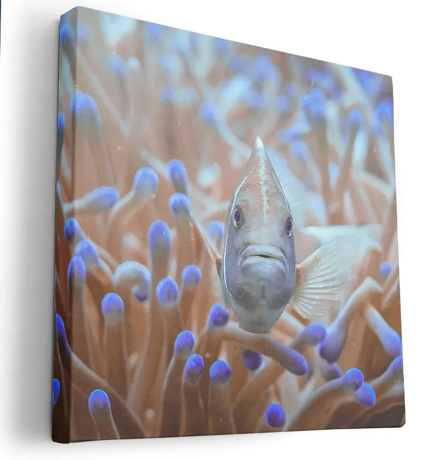 obraz-na-plotnie-40x40-m2p-ocean-10-canvas-wzory