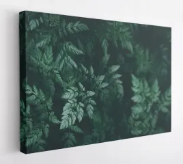 obraz-na-plotnie-100x75-m2p-rosliny-15-canvas