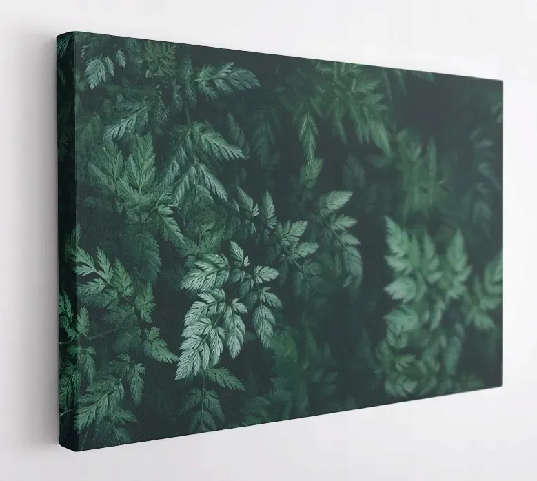 obraz-na-plotnie-100x75-m2p-rosliny-15-canvas