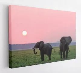 obraz-na-plotnie-100x75-m2p-sawanna-17-canvas