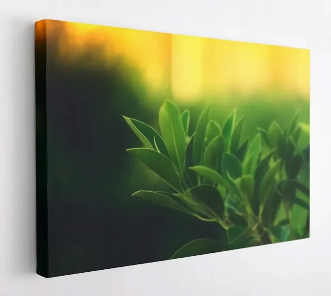 obraz-na-plotnie-100x75-m2p-rosliny-11-canvas