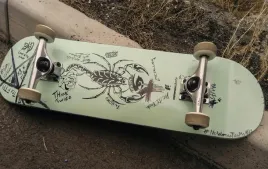 fototapeta-dmp-skateboard-08-368x254