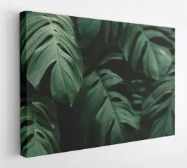 obraz-na-plotnie-100x75-m2p-rosliny-03-canvas