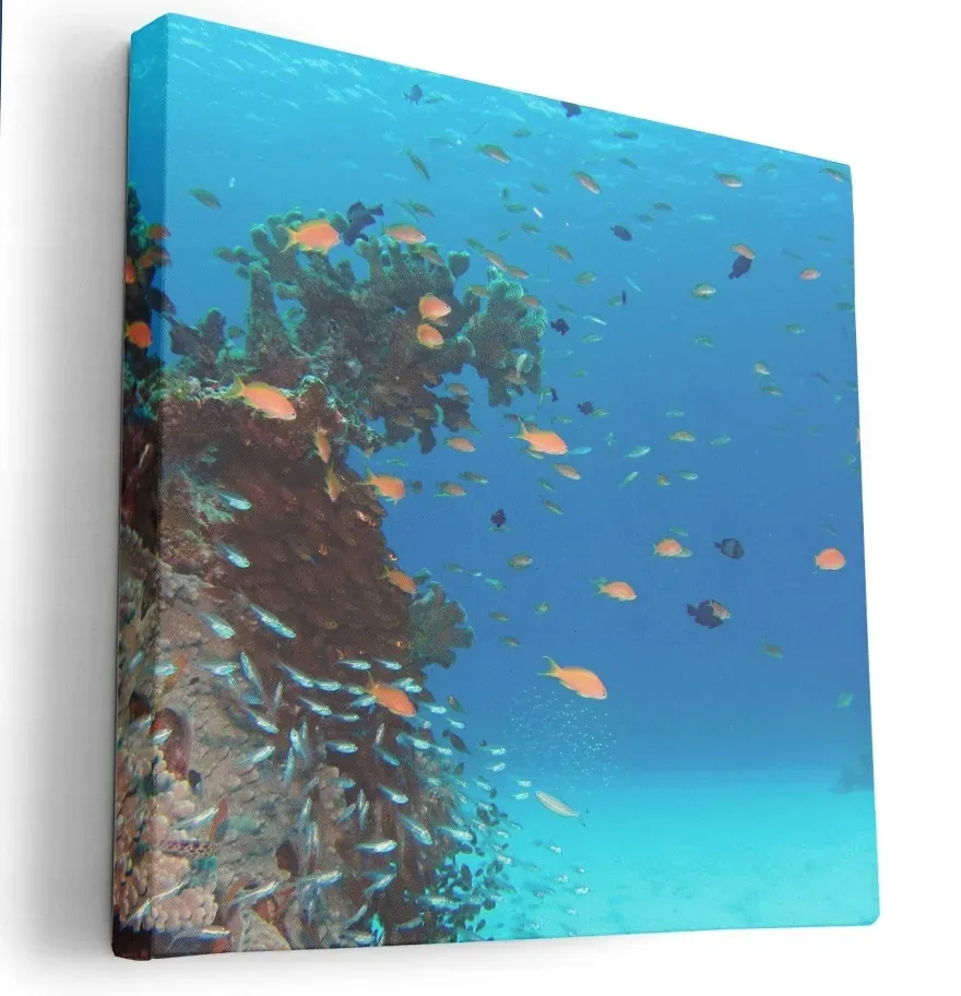 obraz-na-plotnie-40x40-m2p-ocean-15-canvas-wzory
