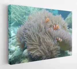 obraz-na-plotnie-100x75-m2p-ocean-13-canvas-wzory