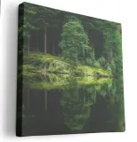 obraz-na-plotnie-80x80-m2p-las-05-canvas-wzory