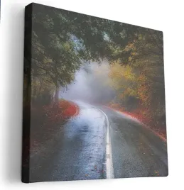 obraz-na-plotnie-40x40-m2p-las-04-canvas-wzory