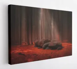 obraz-na-plotnie-100x75-m2p-las-18-canvas-wzory
