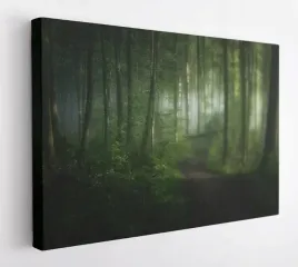 obraz-na-plotnie-100x75-m2p-las-06-canvas-wzory