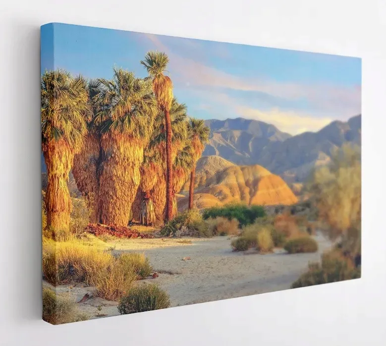 obraz-na-plotnie-100x75-m2p-pustynia-01-canvas