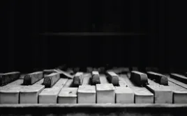 fototapeta-dmp-instrumenty-04-368x254
