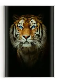 plakat-bez-ramy-a5-13x18-m2p-tygrys-01