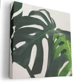 obraz-na-plotnie-80x80-m2p-rosliny-08-canvas-wzory