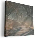 obraz-na-plotnie-40x40-m2p-las-08-canvas-wzory