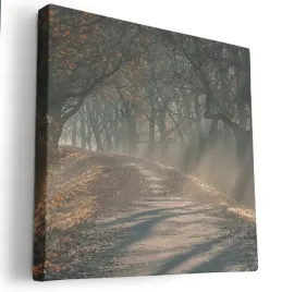 obraz-na-plotnie-40x40-m2p-las-08-canvas-wzory