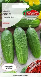nasiona-ogorek-grunt-konserwowy-polan-f1-otoczka-torseed