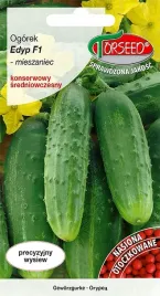 nasiona-ogorek-grunt-konserwowy-edyp-f1-otoczka-50szt-torseed