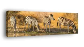 obraz-na-plotnie-145x45-m2p-sawanna-03-canvas