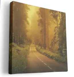 obraz-na-plotnie-40x40-m2p-las-01-canvas-wzory