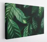 obraz-na-plotnie-100x75-m2p-rosliny-01-canvas