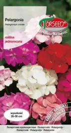 nasiona-pelargonia-mieszanka-f2-10szt-torseed